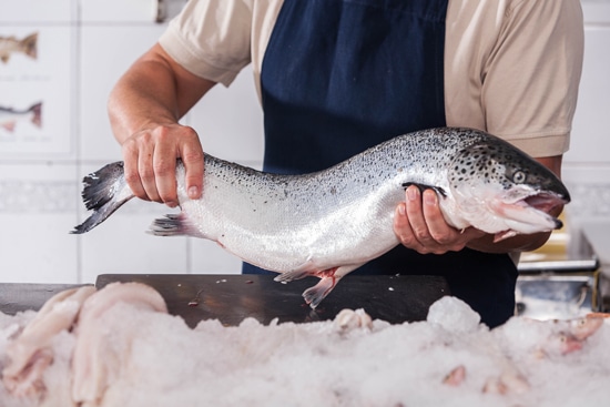 Salmone per la ristorazione